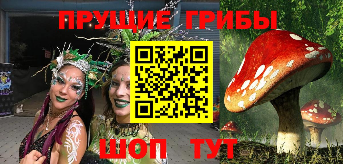 Орёл  Галлюциногенные грибы Psilocybine cubensis  Вход с VPN 