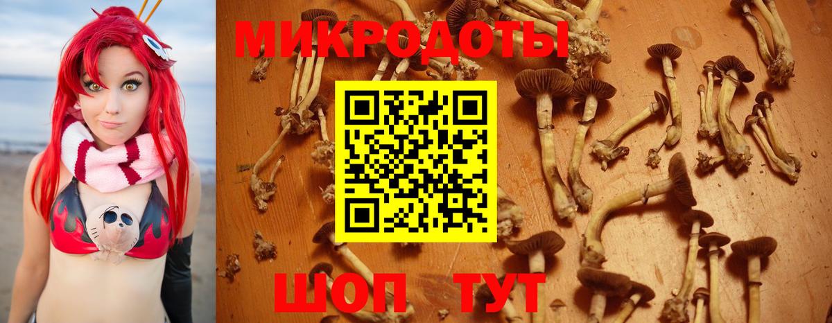 Галлюциногенные грибы Psilocybine cubensis Орёл